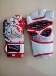 MMA GLOVES